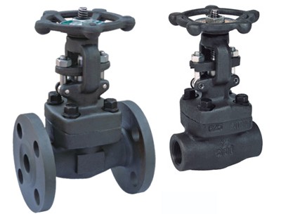 Forged steel gate valve at low temperature