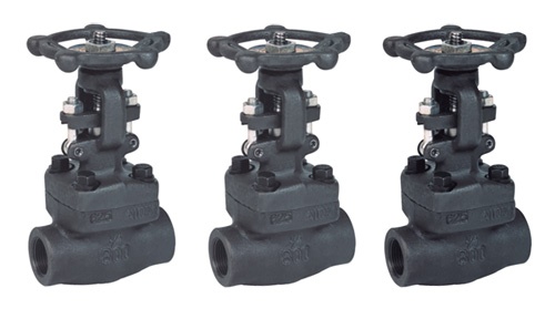 Forged steel gate valve at low temperature