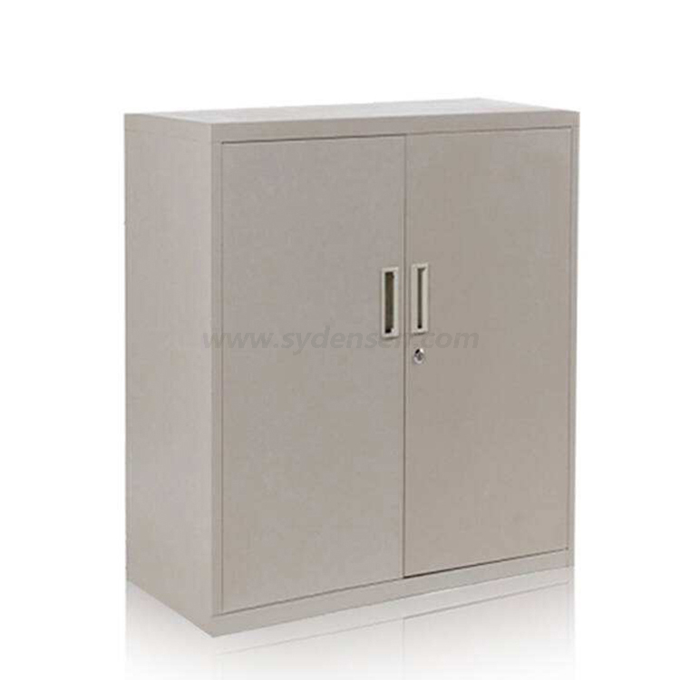 Densen customized High Quality Double Door Metal Filing Cabinet Modern Office Furniture