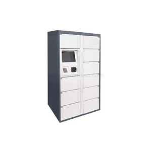 Densen Customized Smart Bluetooth APP Safe Mini Electronic Cabinet Lock Colorful powder coating Beach School Gym Parcel Locker